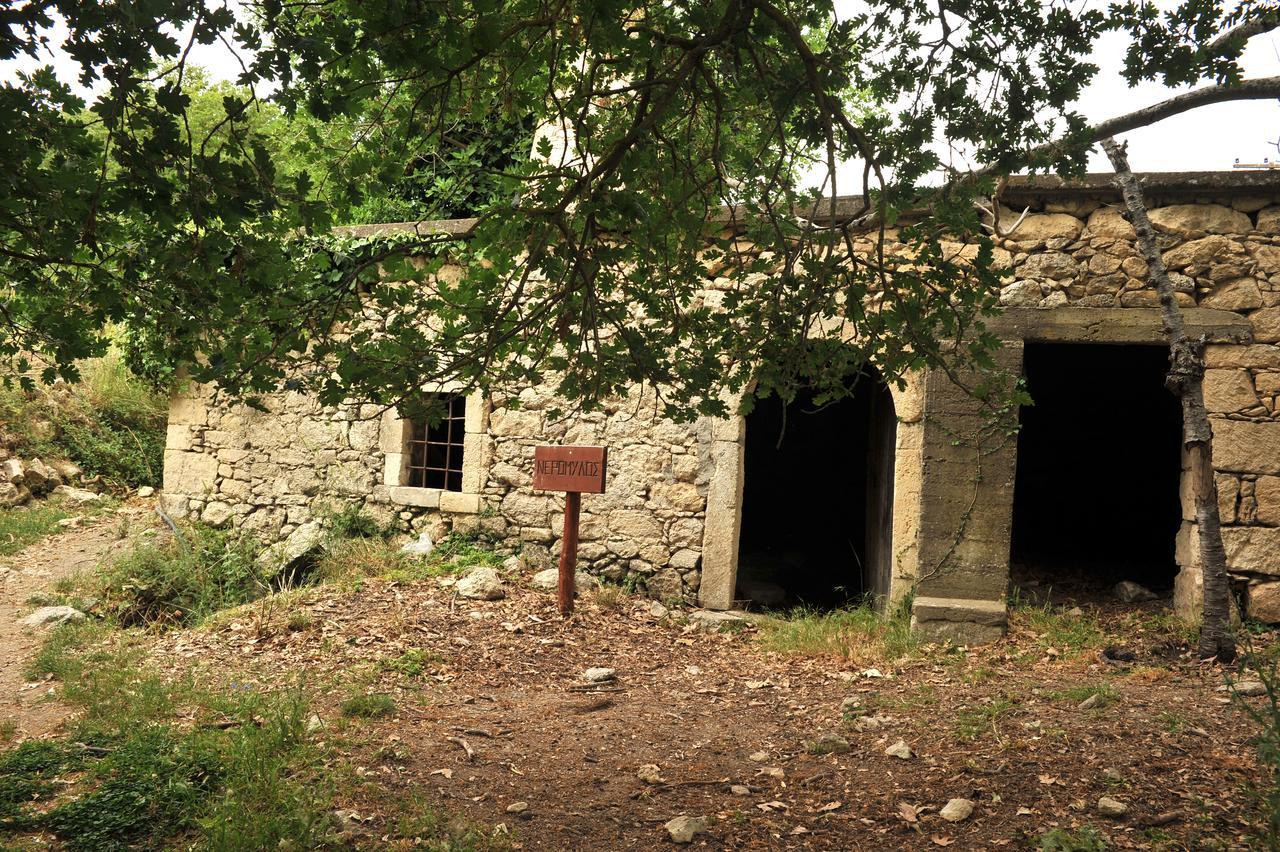 Villa Axenti Agios Thomas  Exterior foto