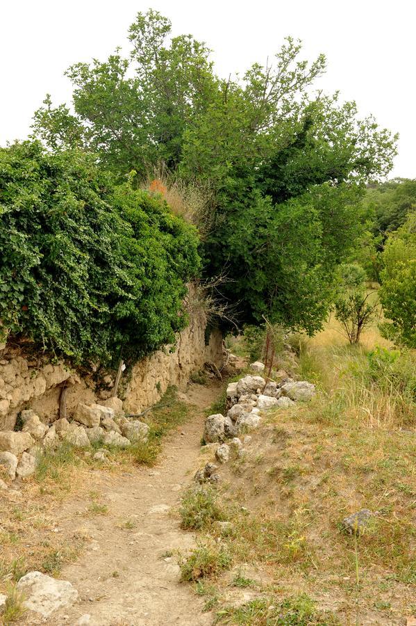 Villa Axenti Agios Thomas  Exterior foto